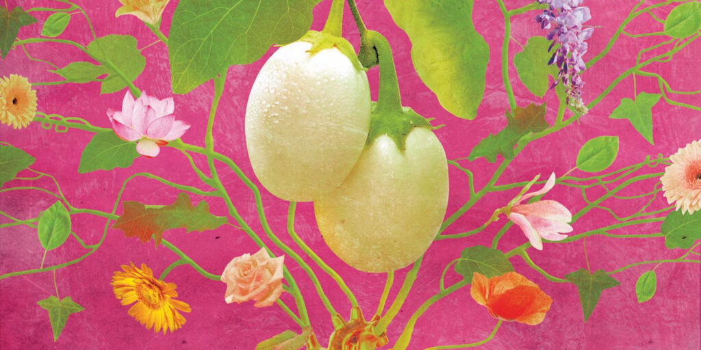 Eggs: tutto sull’amore e altri vegetali [ANNULLATO]